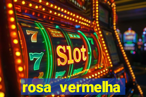 rosa vermelha (letra e cifra)